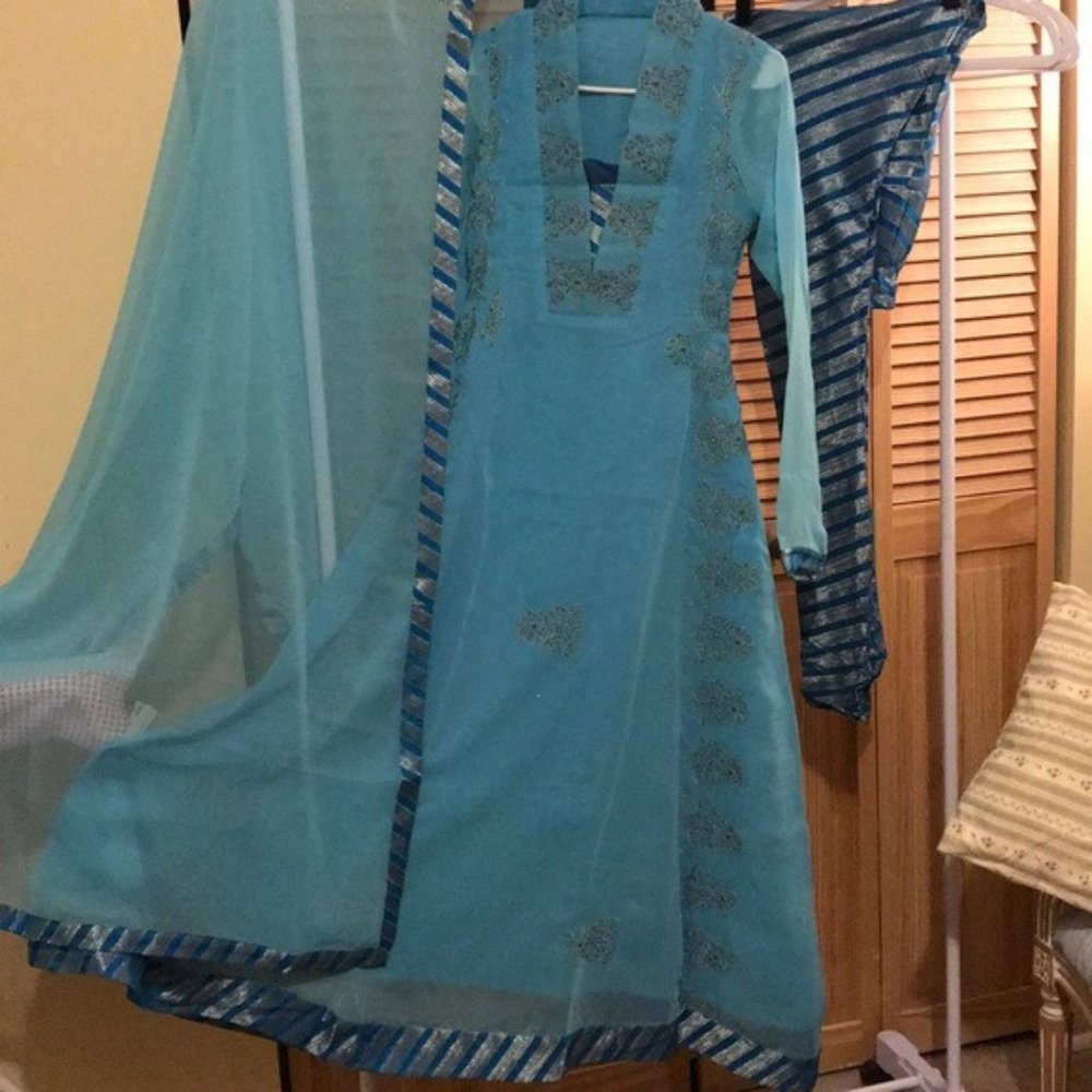 Stunning Indian/Pakistani Dress